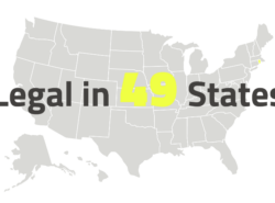 Taser Laws by State